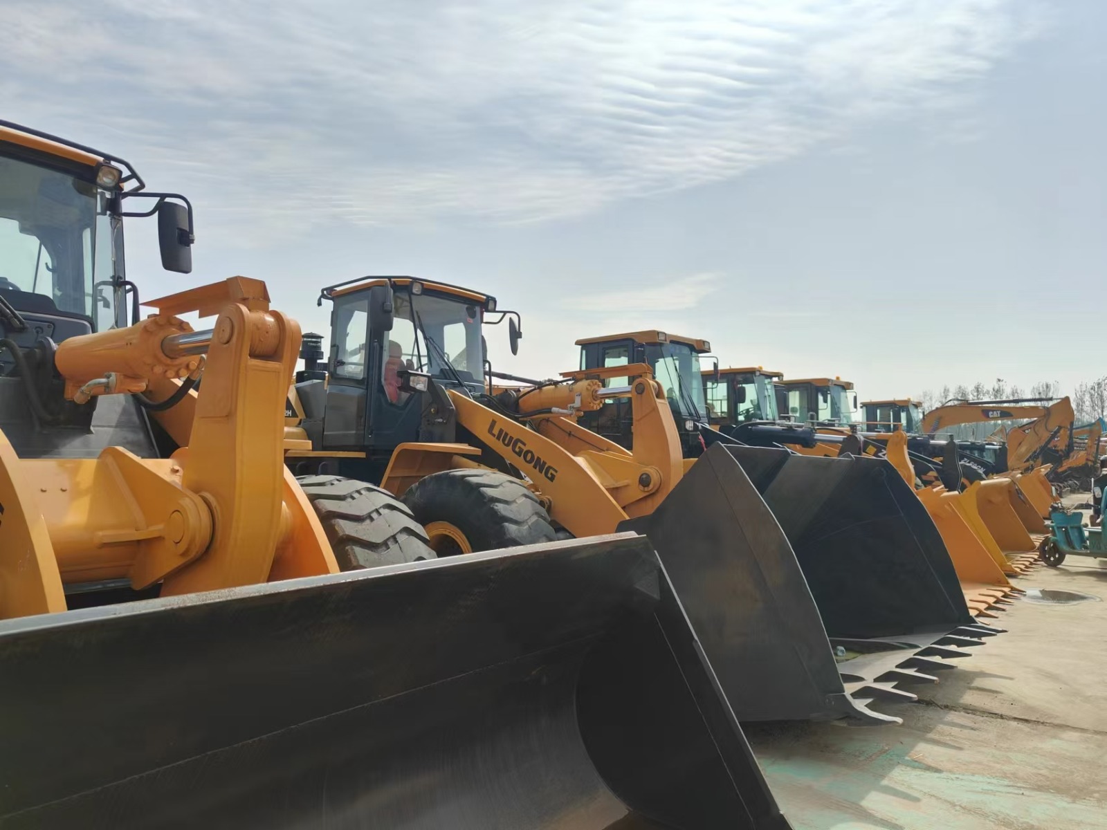 WhatsApp Image 2025-11-14 at 6.07.36 PM